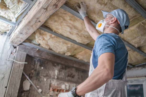 Best Garage Insulation Installation  in Osseo, MN