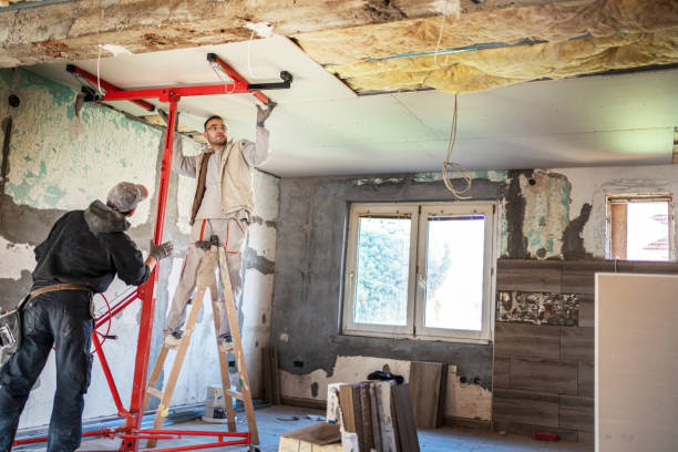 Best Home Insulation Services  in Osseo, MN