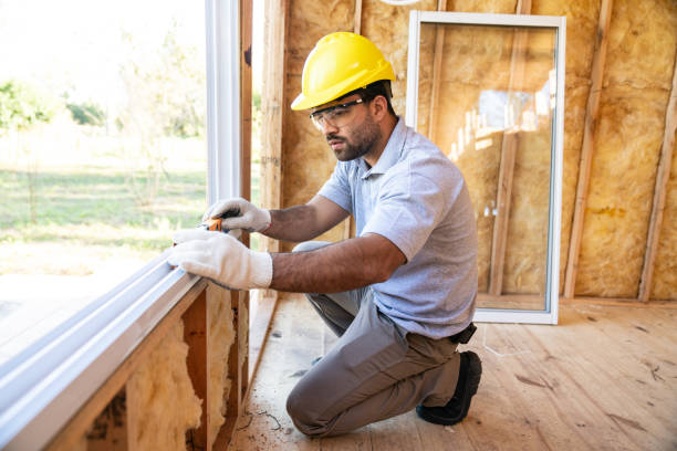 Best Insulation Removal  in Osseo, MN